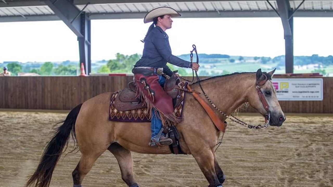 , Deux jours d’équitation western à Lingé pour les championnats départementaux et régionaux