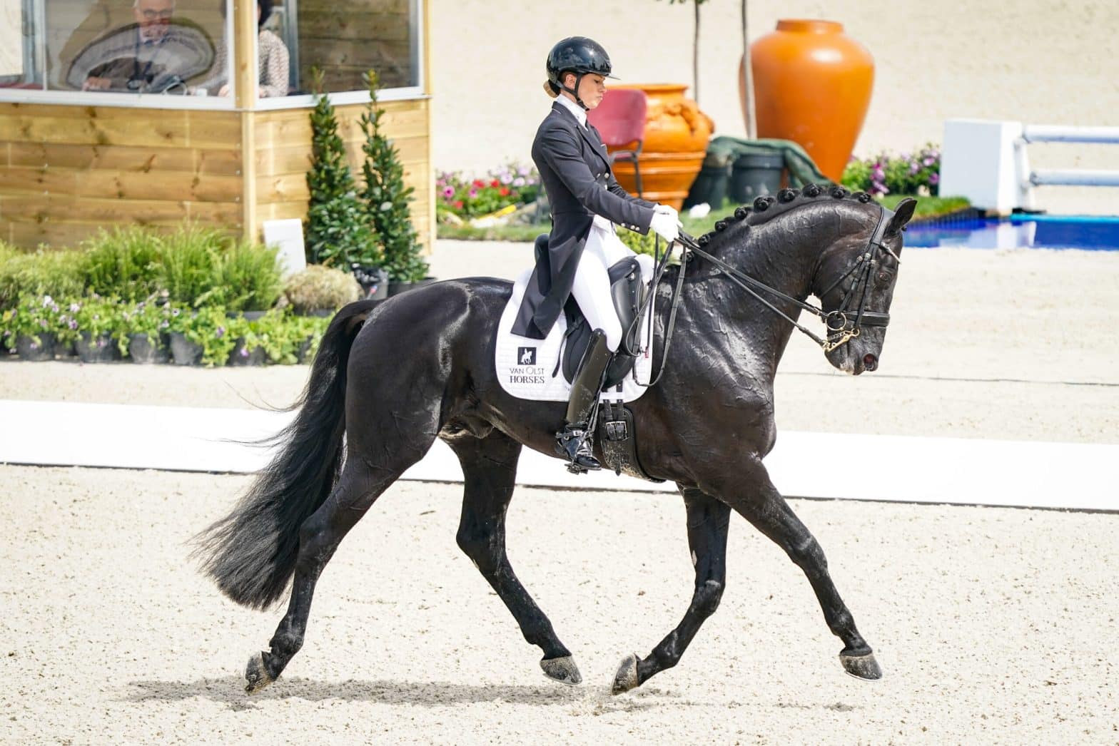 , Équitation : le Normandie Horse Show prêt à galoper
