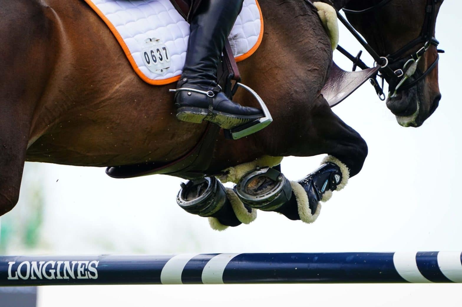 , Équitation : Le Vercors passe en mode jumping
