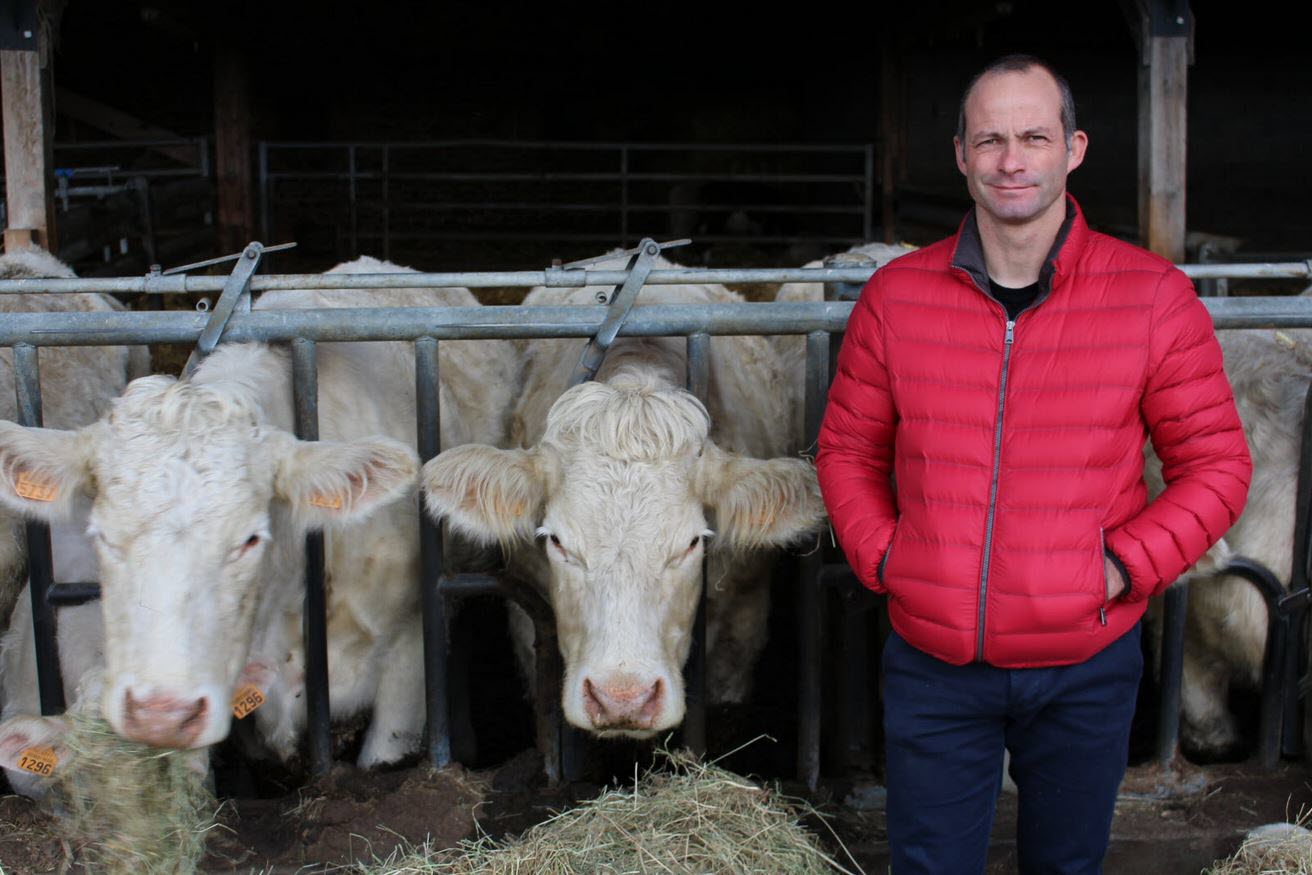 , Loire Moins de vaches en France : « La Cour des comptes raconte des âneries