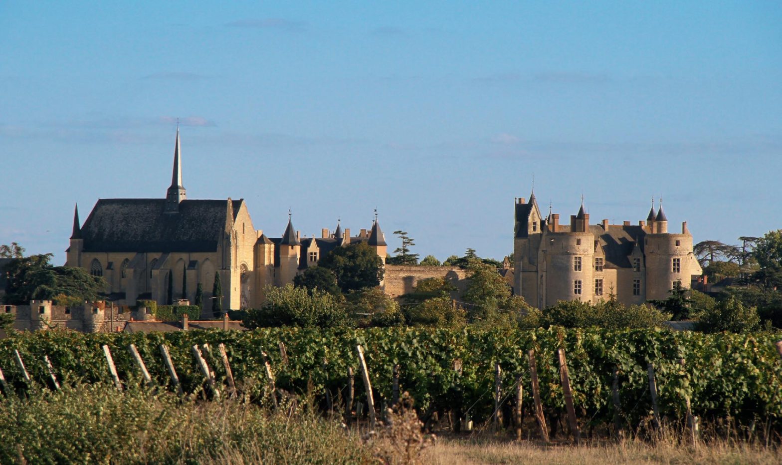 , Quatre monuments pour traverser les époques autour de Saumur, capitale équestre et viticole d’Anjou